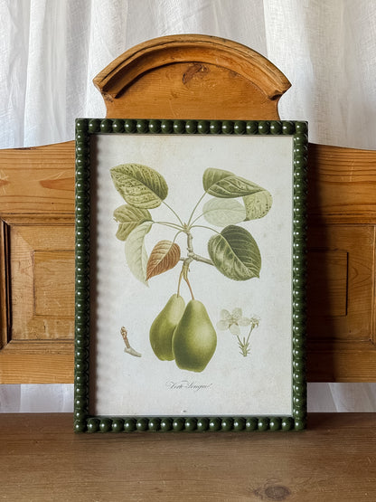 Pear Print in Hobnail Frame