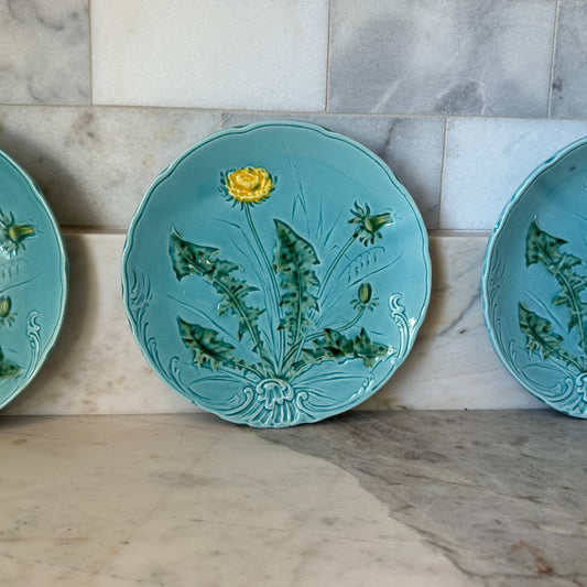 German Majolica Dishes