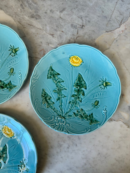 German Majolica Dishes