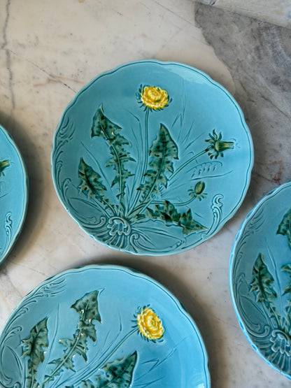 German Majolica Dishes