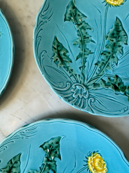 German Majolica Dishes
