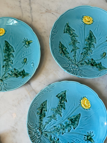 German Majolica Dishes