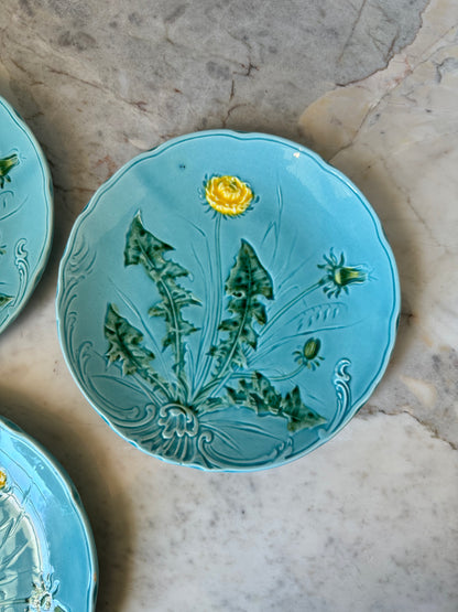 German Majolica Dishes