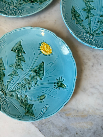 German Majolica Dishes