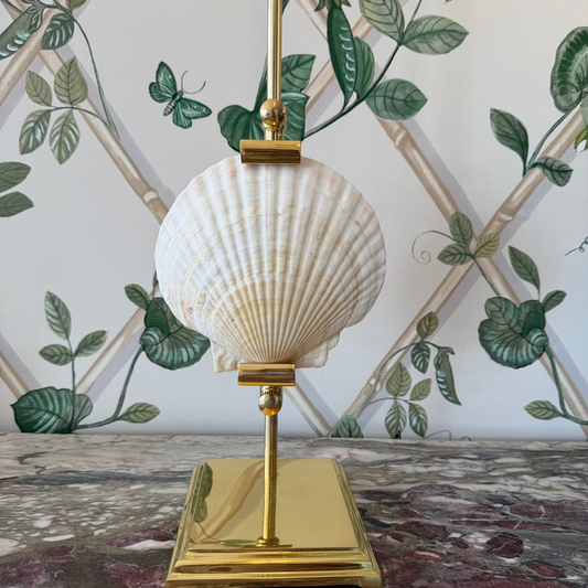 Real Shell Dish