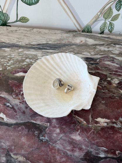 Real Shell Dish