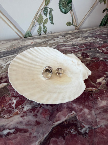 Real Shell Dish
