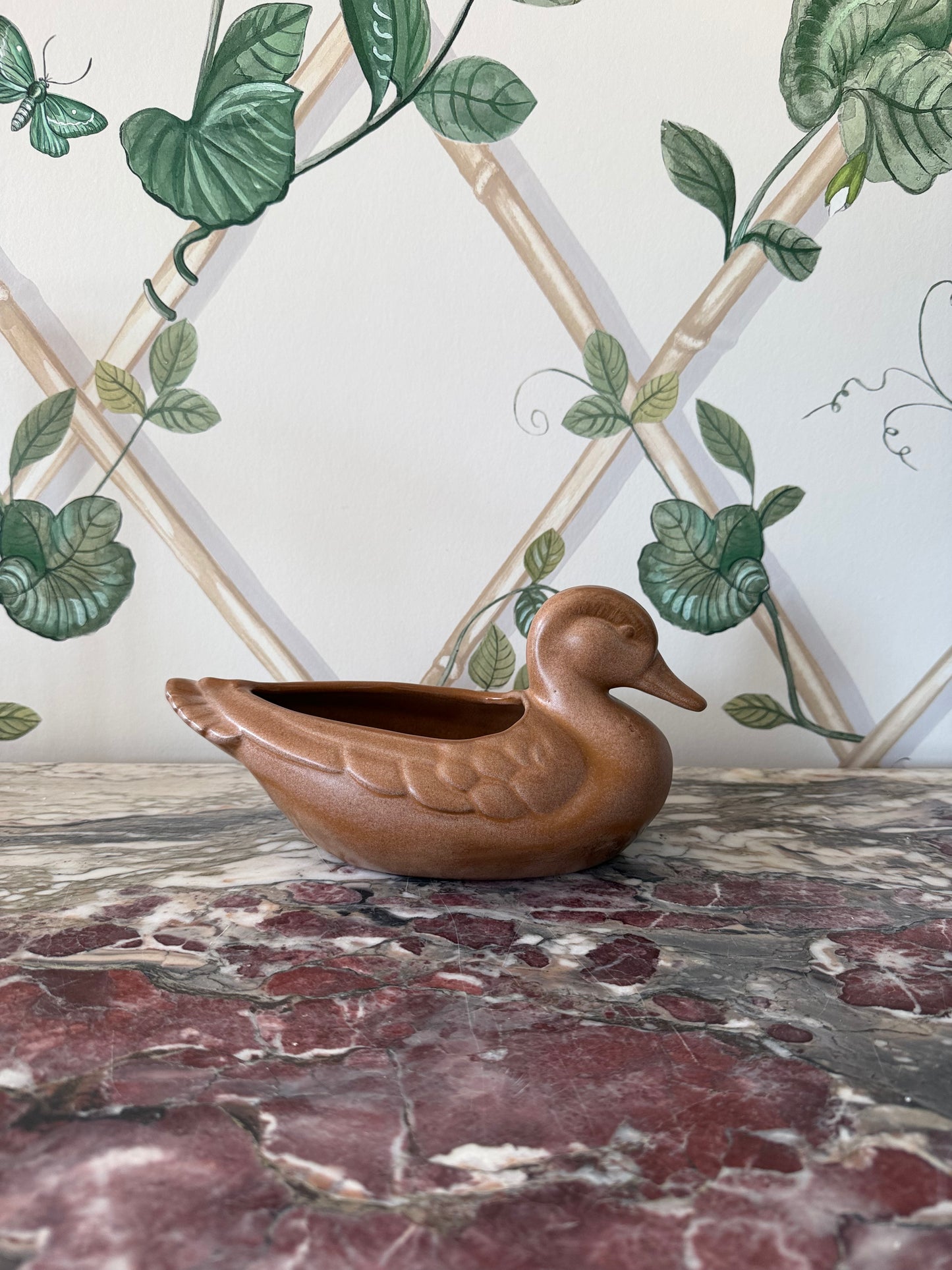 Terracotta Duck Vase