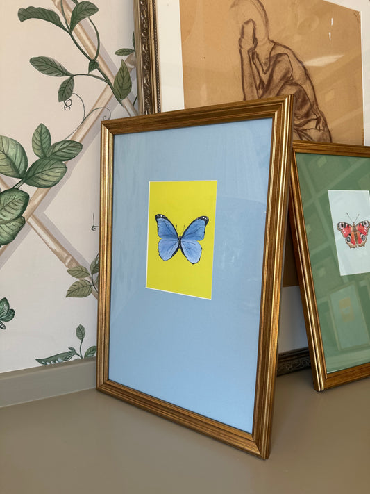 Catherine Cartie Butterfly, Framed