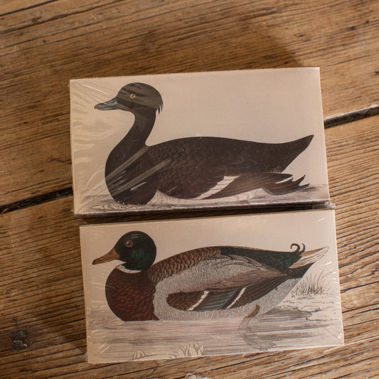 Matchbox, Ducks