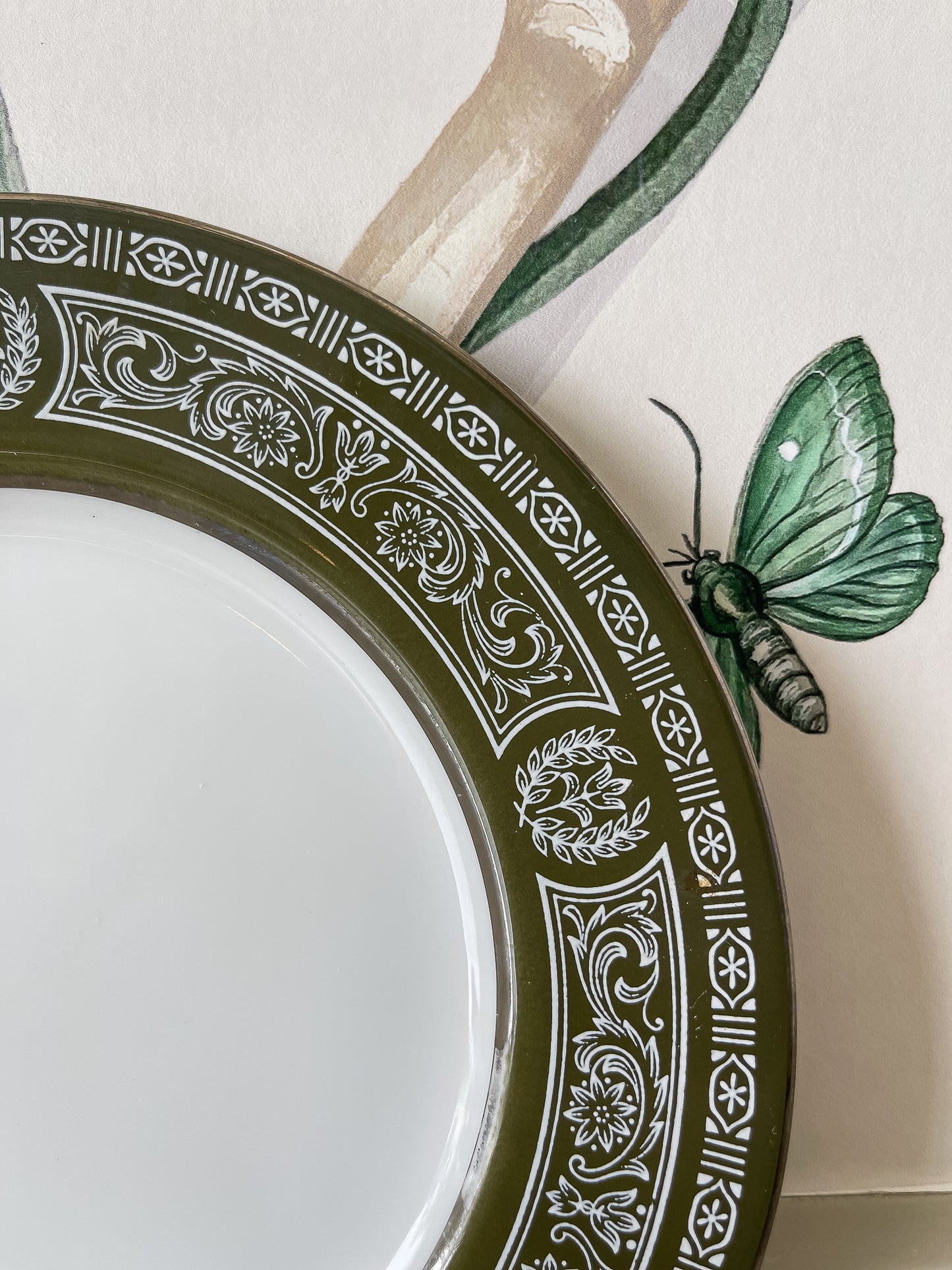 Vintage Olive & White Gilded Plates