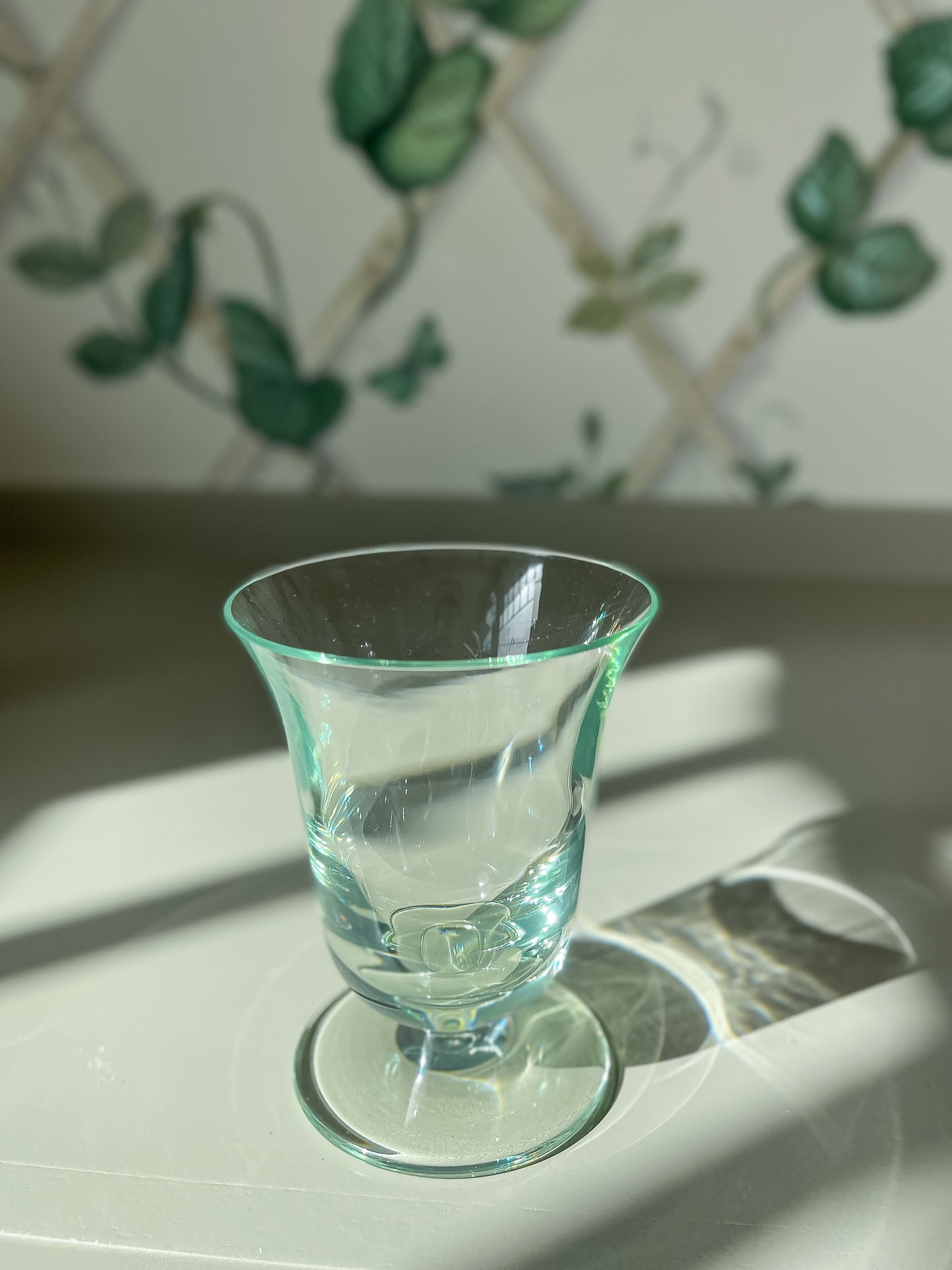 Acrylic Green Wine Glasses