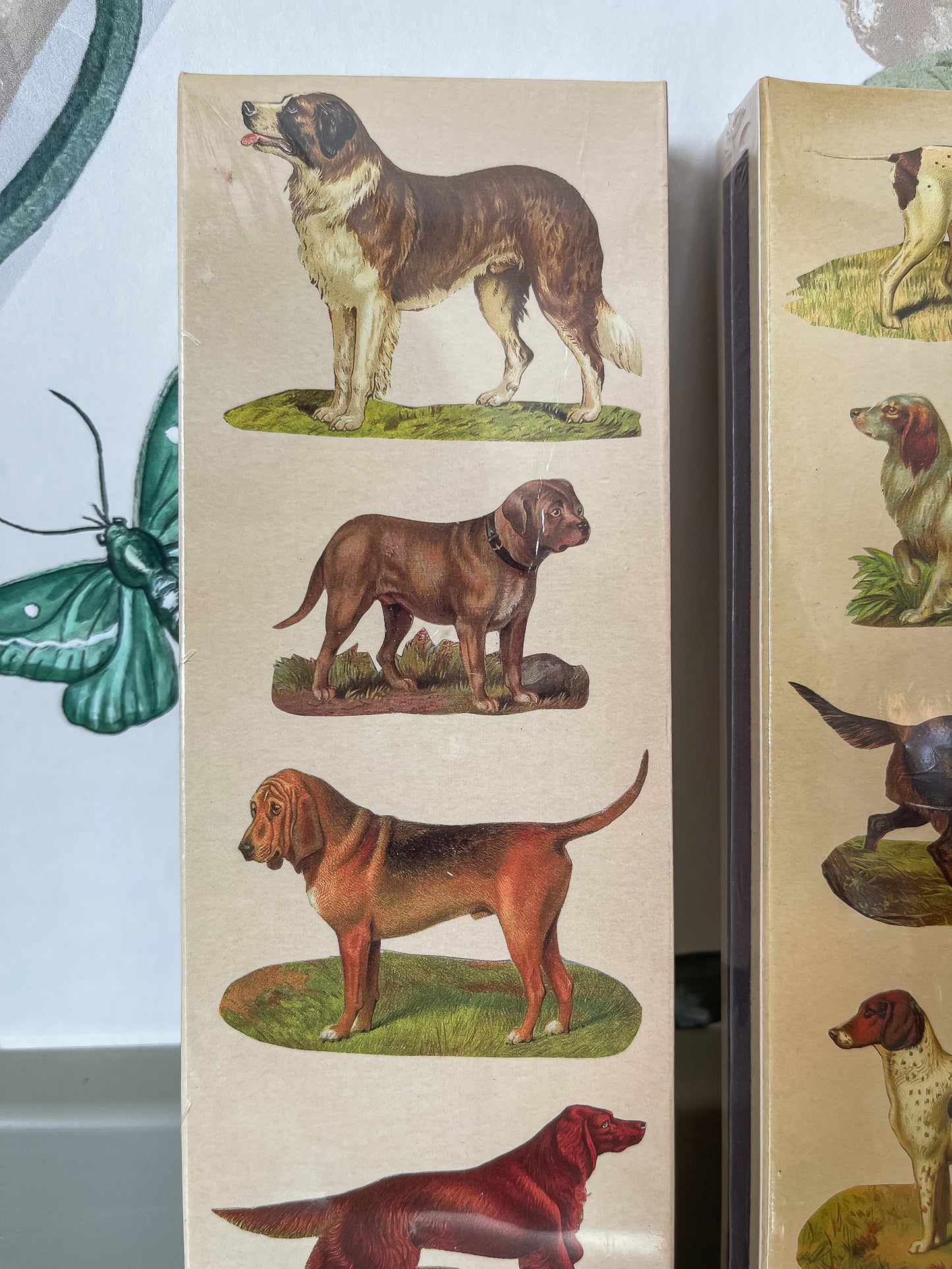 Matchbox, Dogs