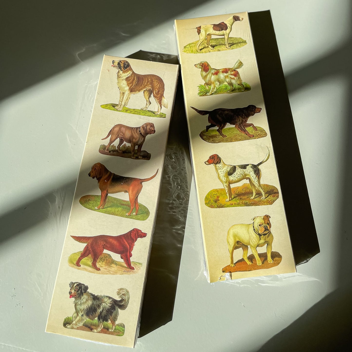 Matchbox, Dogs