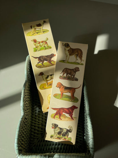 Matchbox, Dogs