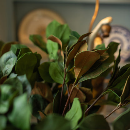 Magnolia Leaf Stem, Green/Green