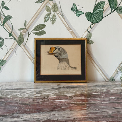 Vintage Framed Bird Print