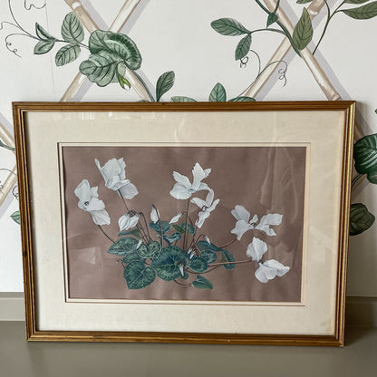 Vintage Botanical Painting