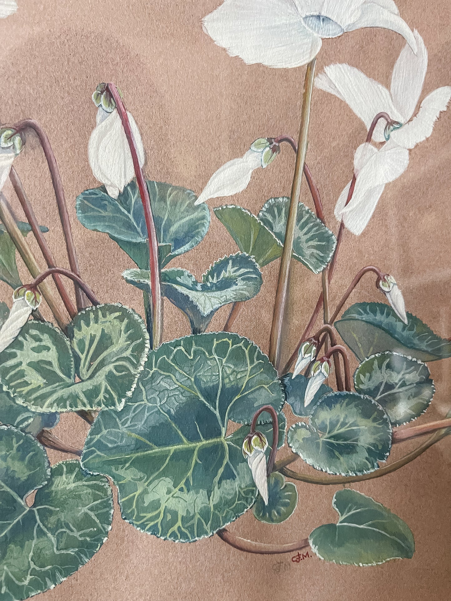 Vintage Botanical Painting