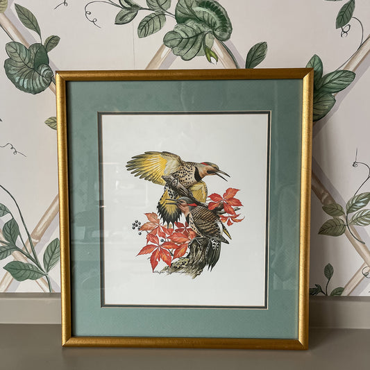 Framed Bird Illustration, Northern Flicker