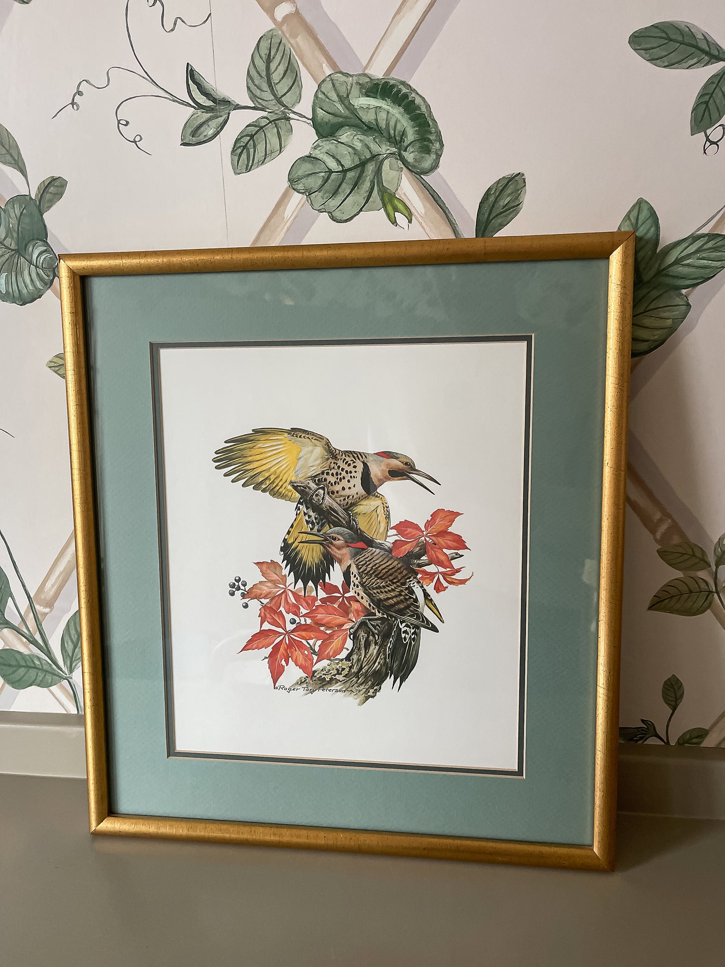 Framed Bird Illustration, Northern Flicker