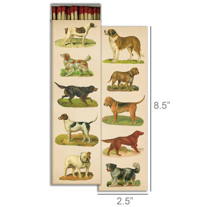 Matchbox, Dogs