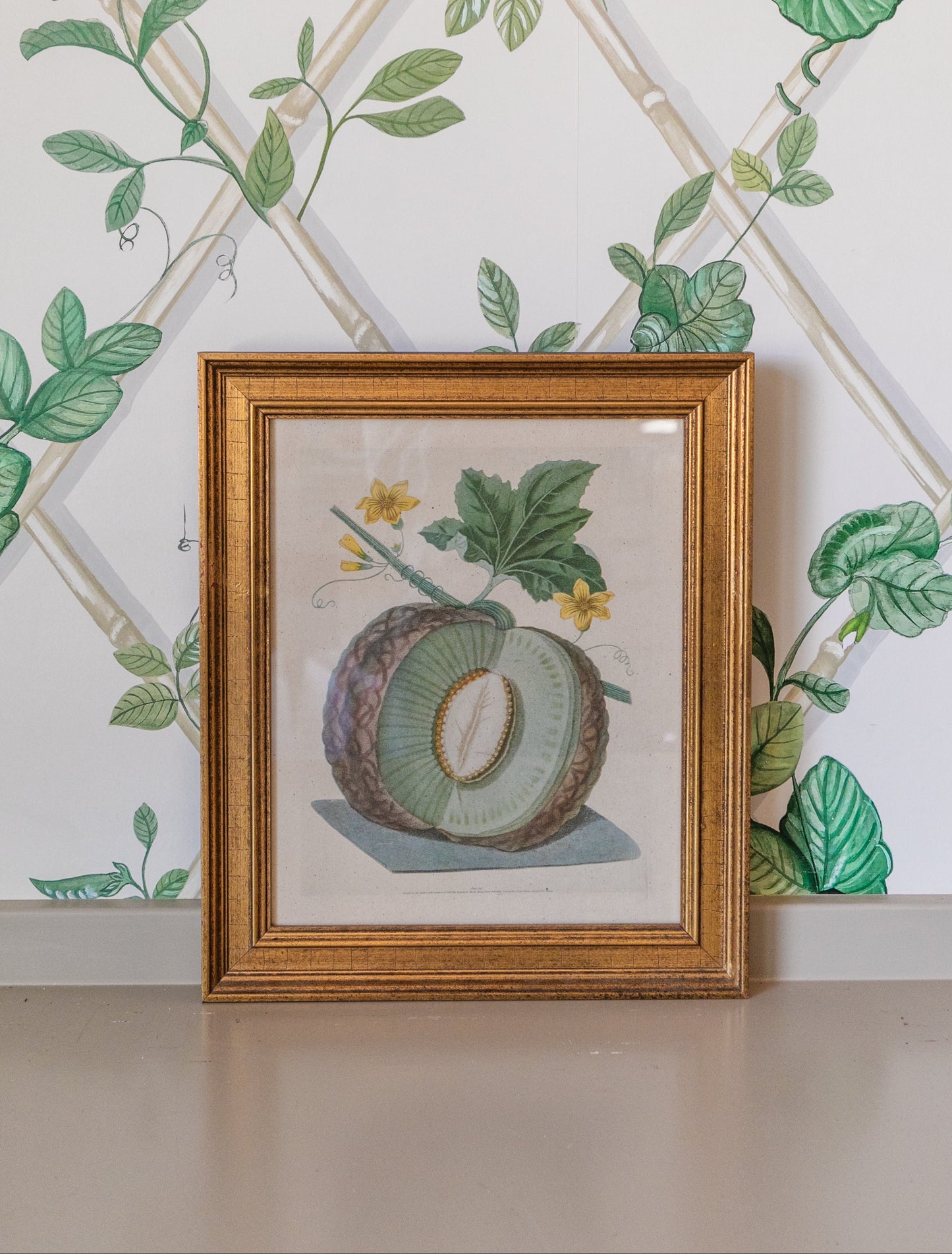 Brookshaw Melon Vintage Print