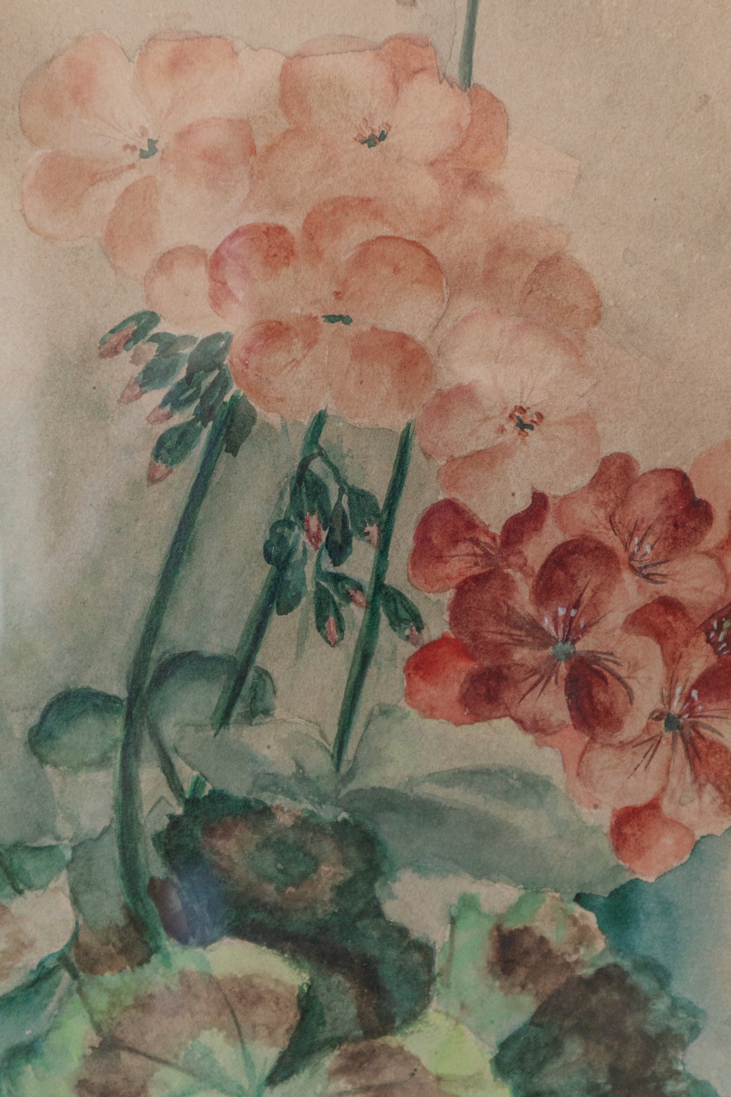Original Signed Floral Watercolor