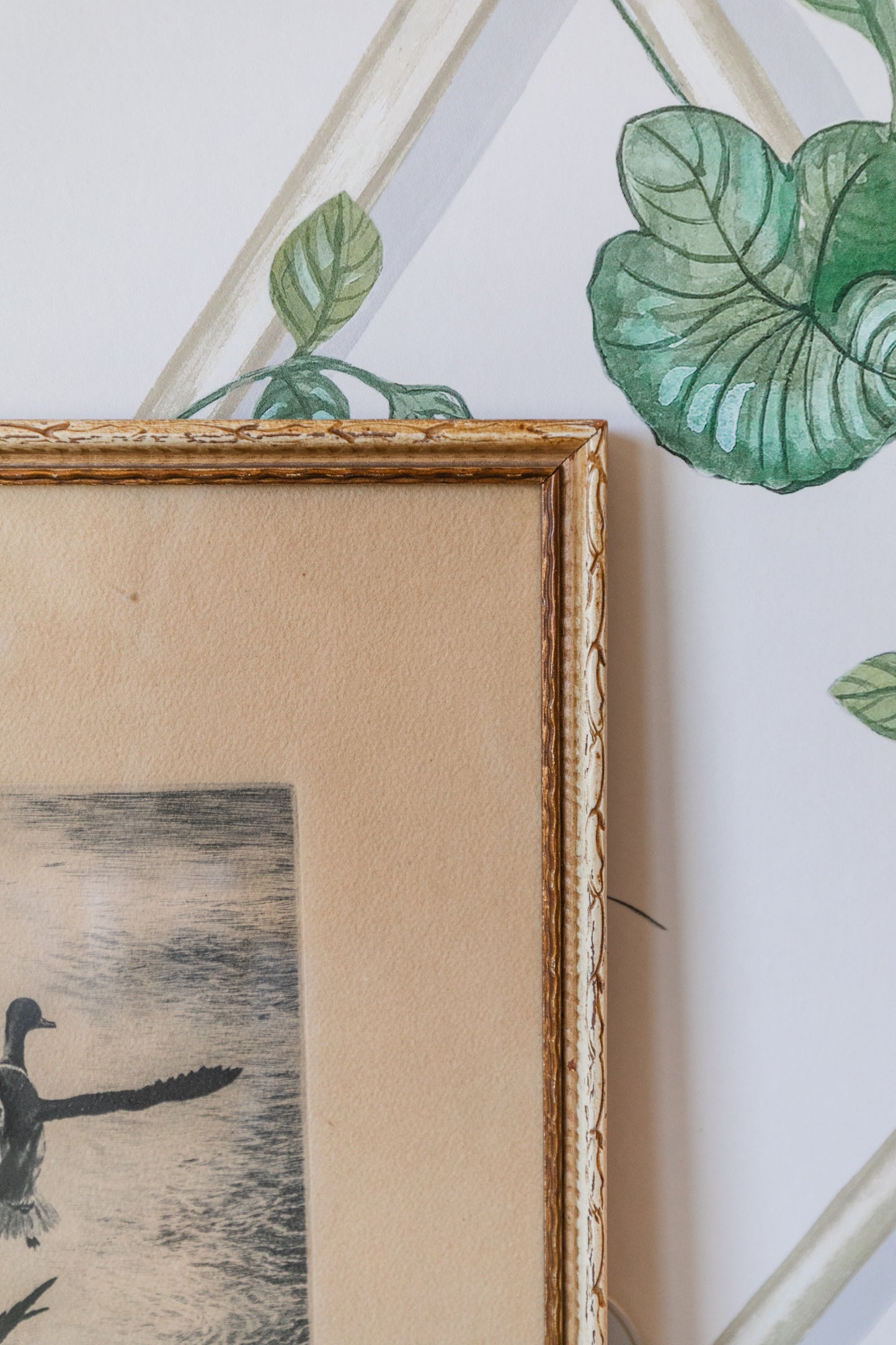 Vintage Framed Duck Print