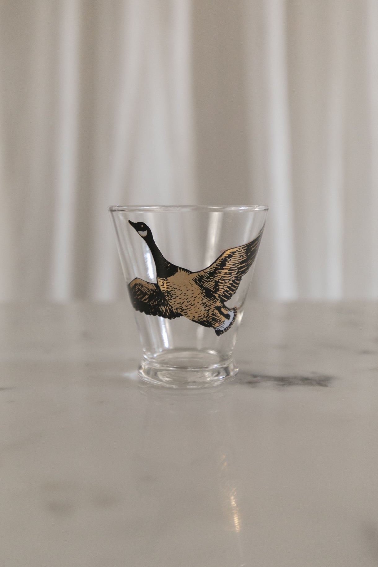 Flying Geese Glasses, Set of 6