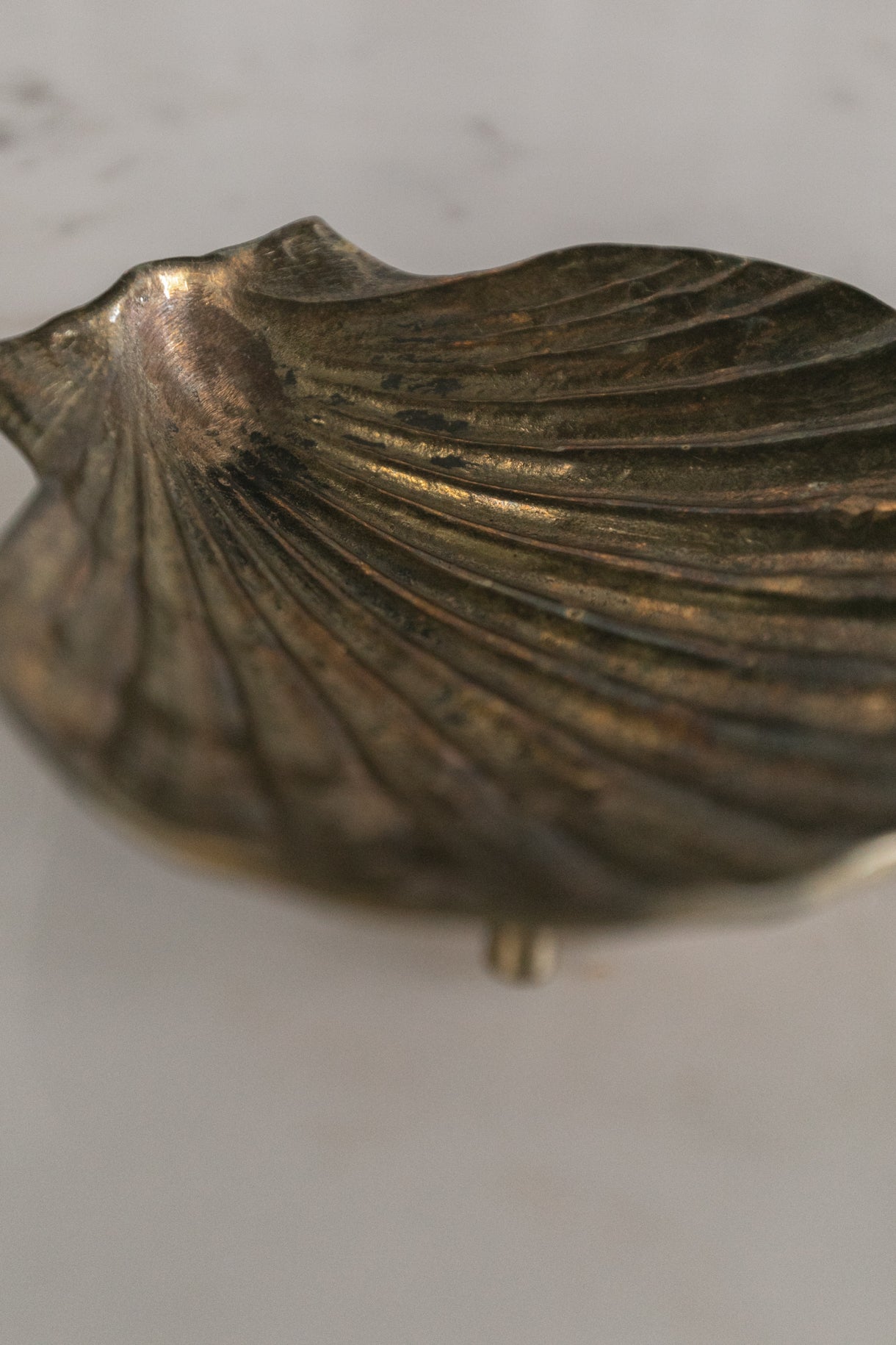 Brass Shell Dish