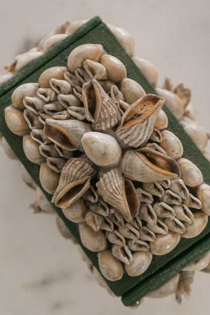 Shell Trinket Box