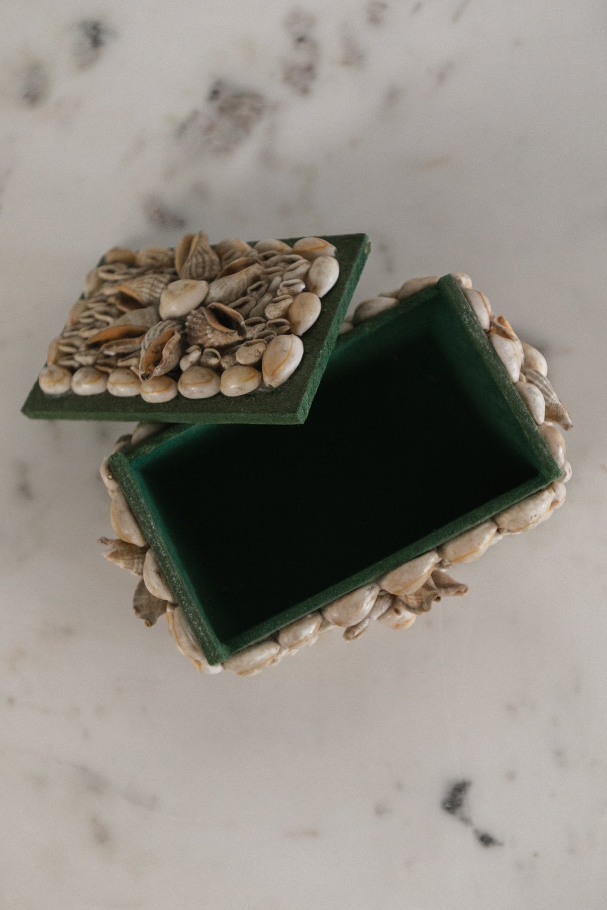 Shell Trinket Box