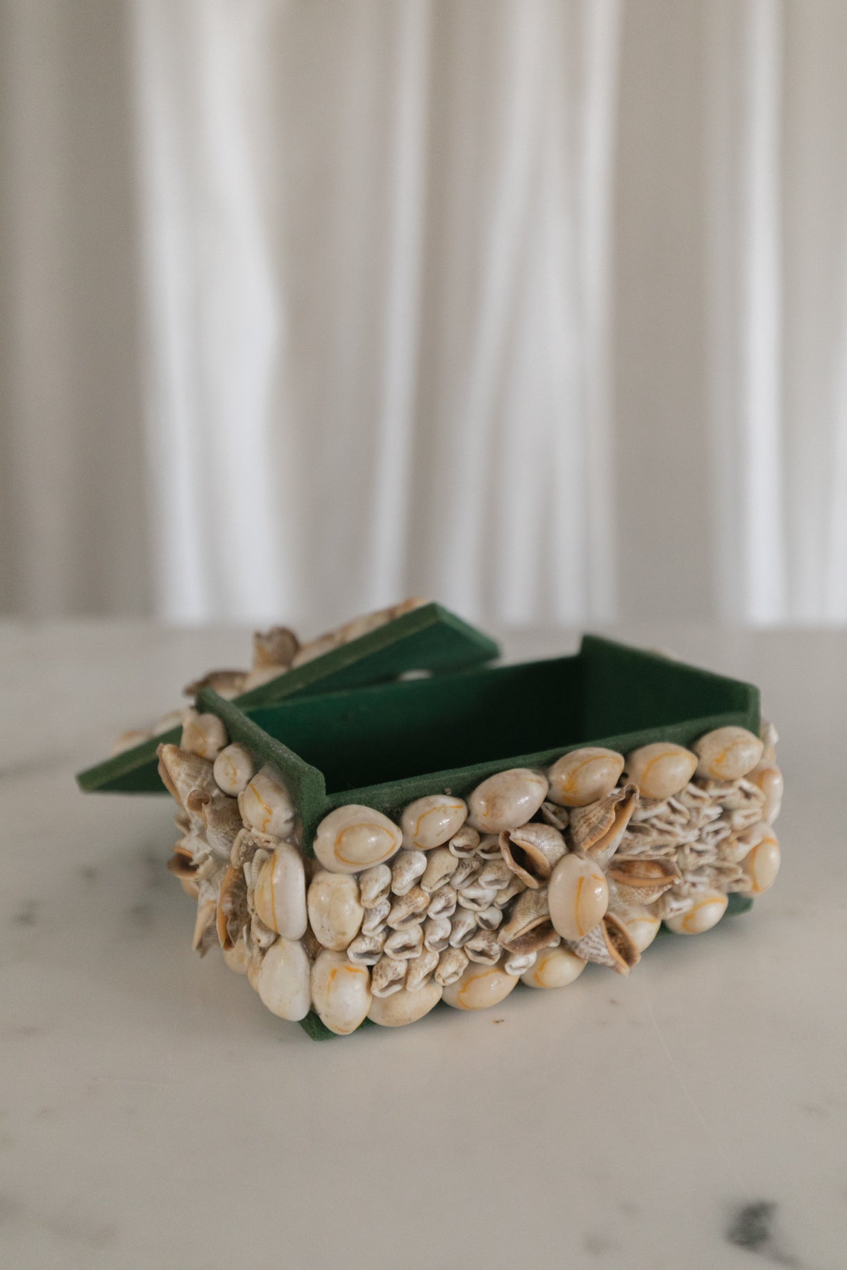 Shell Trinket Box