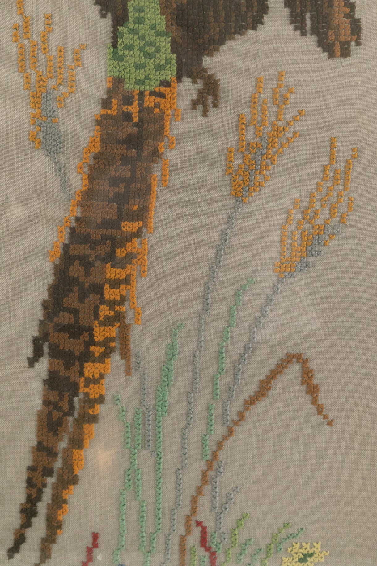 Pheasant Cross Stitch