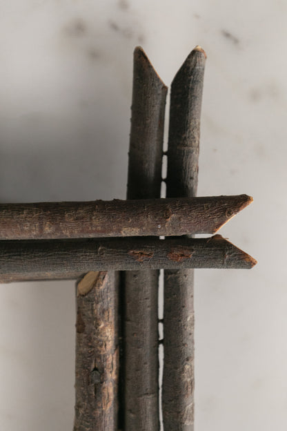 Twig Frame