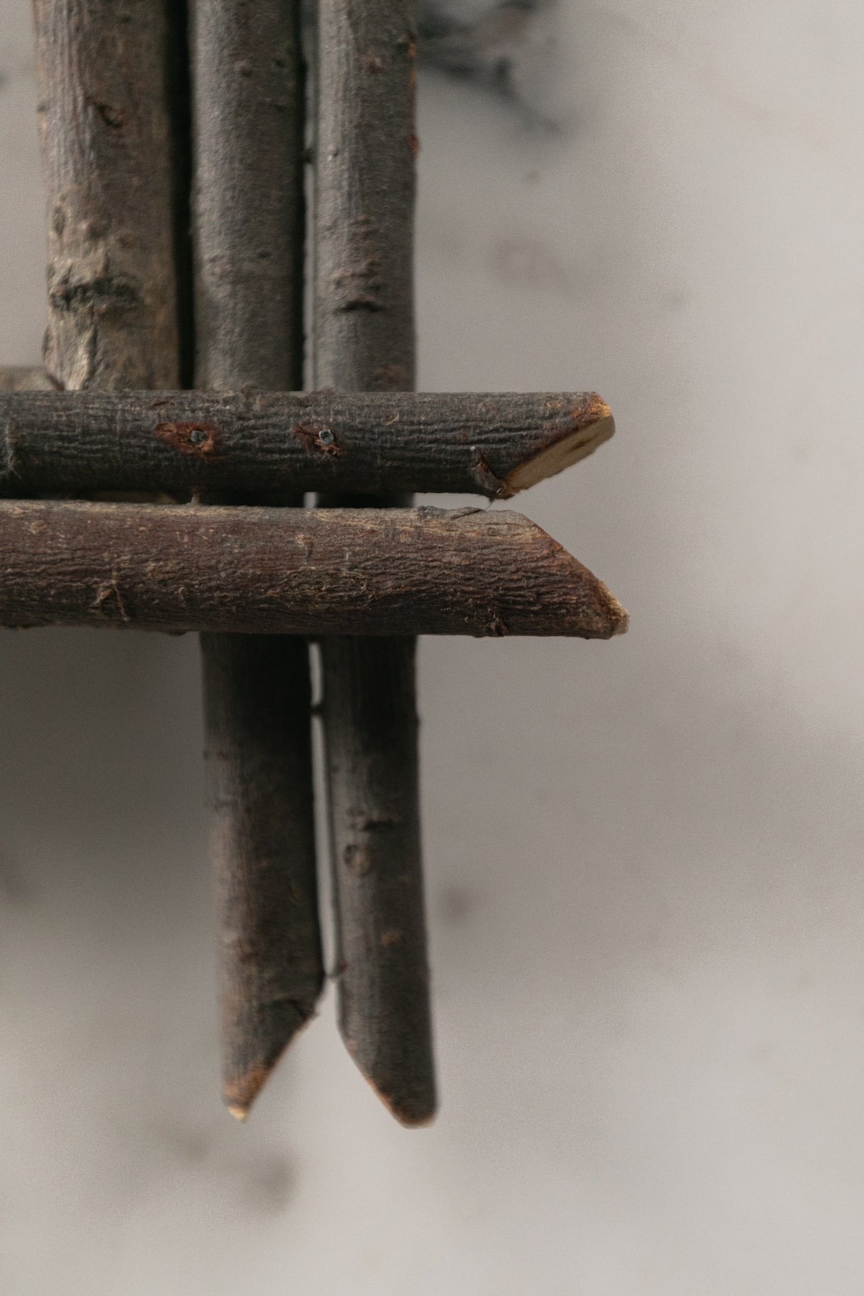 Twig Frame
