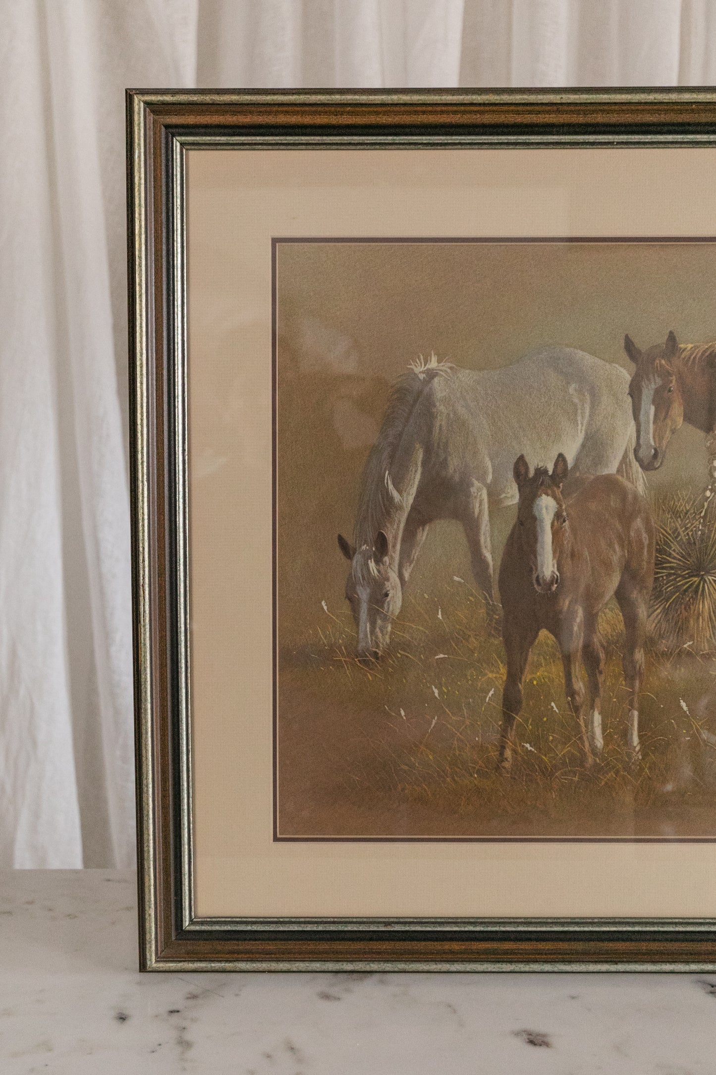 Baize - Horses, Limited Print