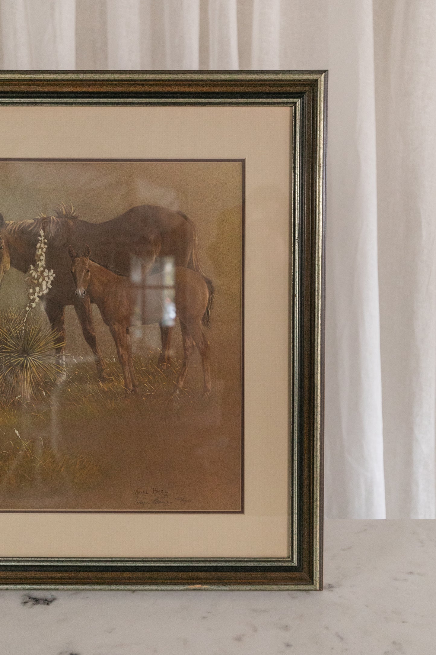 Baize - Horses, Limited Print