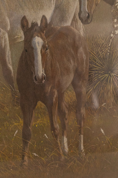 Baize - Horses, Limited Print