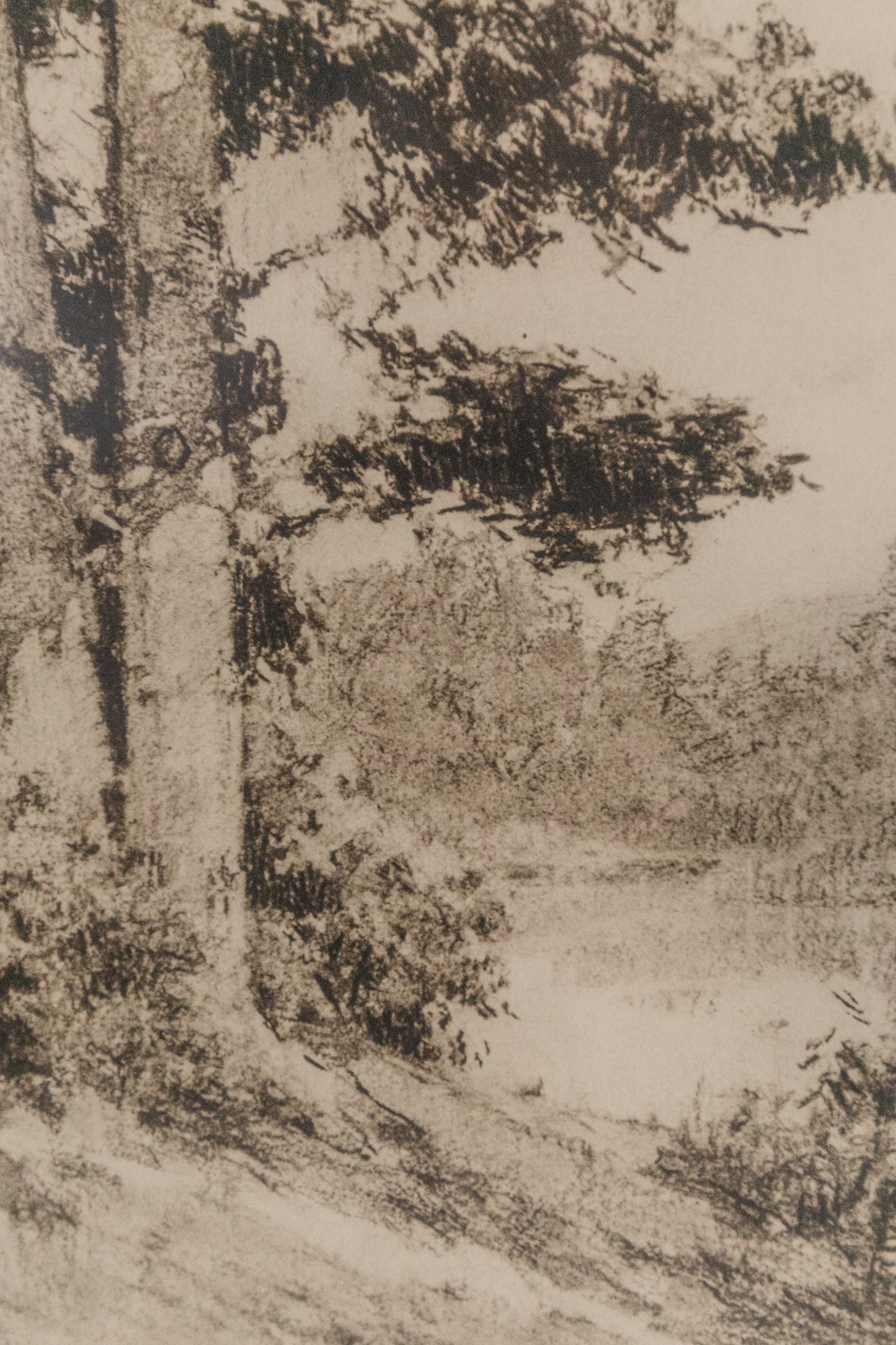 Dry Point Etching, J. Knowles