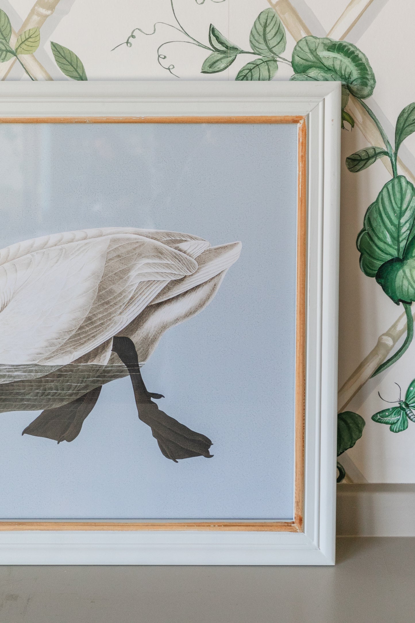 Framed Swan Print