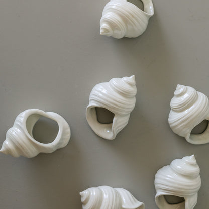 Shell Napkin Rings, Set of 6