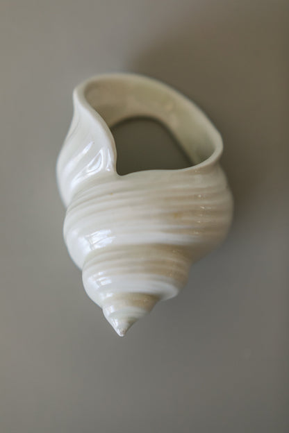 Shell Napkin Rings, Set of 6