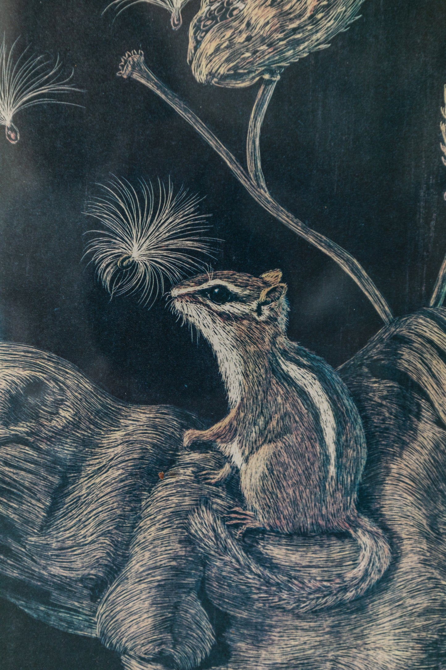 Framed Squirrel Print