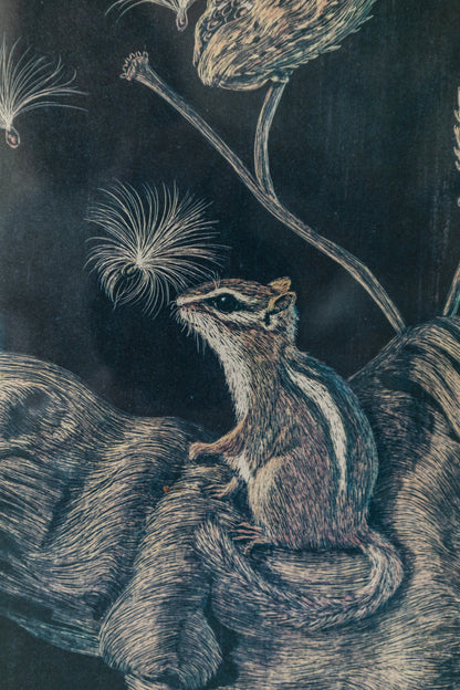 Framed Squirrel Print