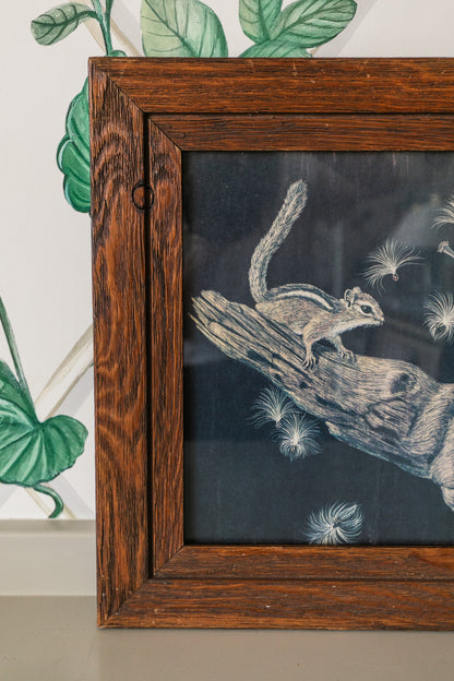 Framed Squirrel Print