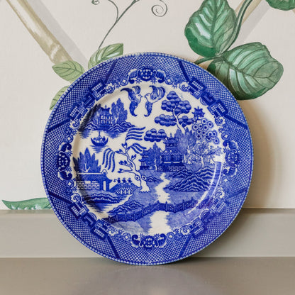 Blue and white decorative plate with intricate patterns on a neutral background
