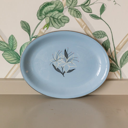 Vintage Hand-Painted Homer Laughlin Skytone Plate