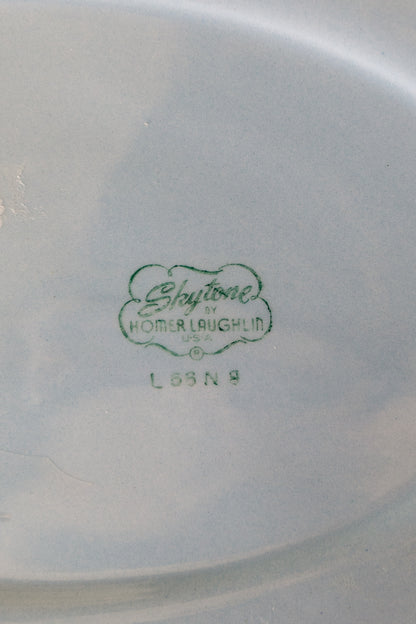 Vintage Floral Hand-Painted Homer Laughlin Skytone Plate